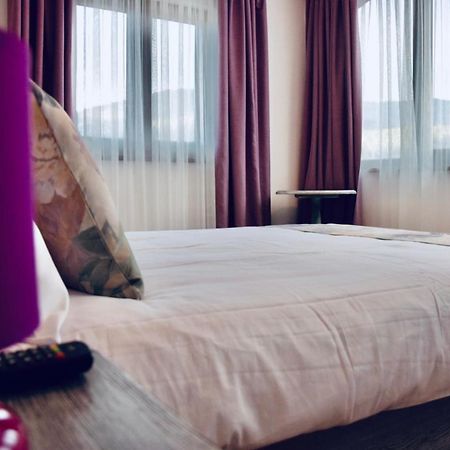 Casa Ankeli Bed and Breakfast Buşteni Eksteriør billede