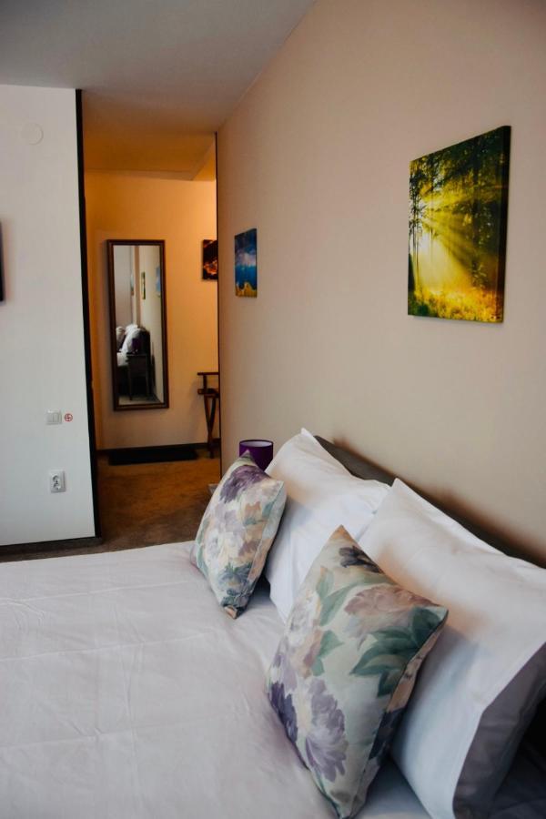 Casa Ankeli Bed and Breakfast Buşteni Eksteriør billede
