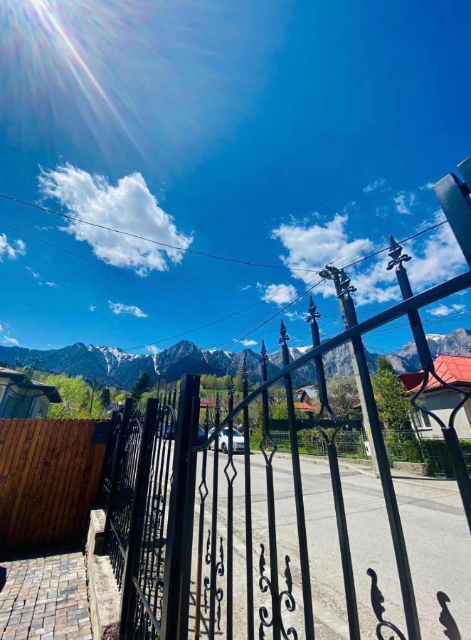 Casa Ankeli Bed and Breakfast Buşteni Eksteriør billede