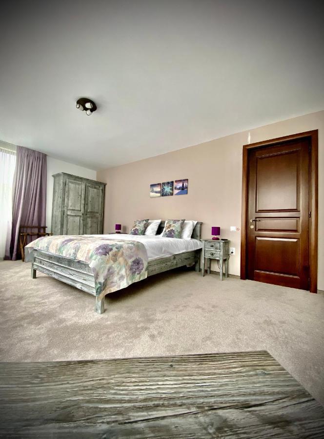 Casa Ankeli Bed and Breakfast Buşteni Eksteriør billede
